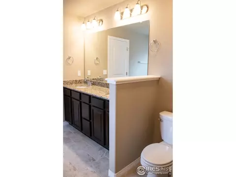4445 Waltham Dr, Windsor, CO 80550 photo 26