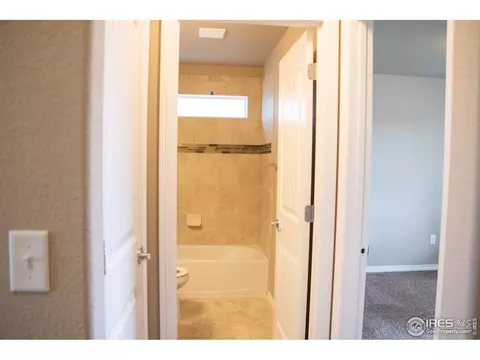 4445 Waltham Dr, Windsor, CO 80550 photo 8
