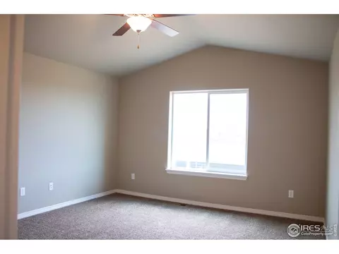 4445 Waltham Dr, Windsor, CO 80550 photo 23