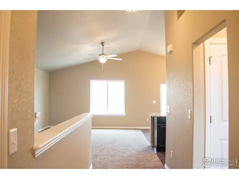 4445 Waltham Dr, Windsor, CO 80550 photo 2