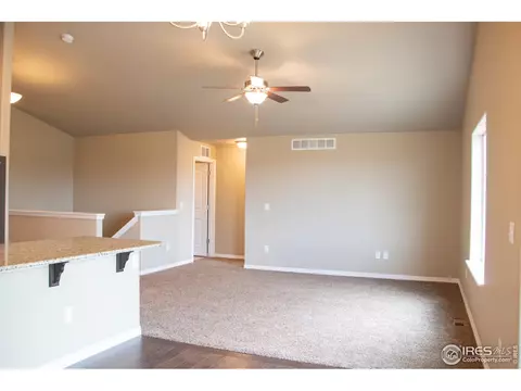 4445 Waltham Dr, Windsor, CO 80550 photo 19