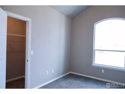 1799 Tinker Dr, Windsor, CO 80550 photo 4