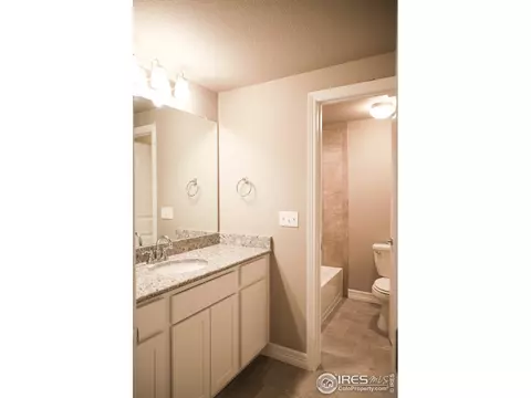 1799 Tinker Dr, Windsor, CO 80550 photo 28