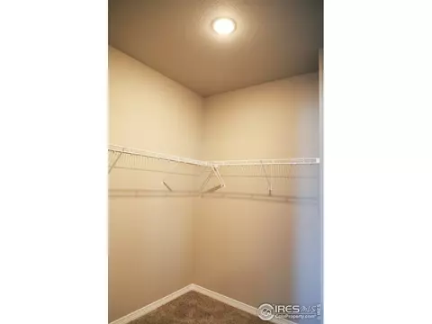 1799 Tinker Dr, Windsor, CO 80550 photo 33