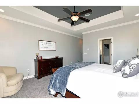 5878 Carmon Dr, Windsor, CO 80550 photo 14