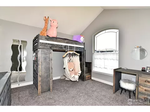 5878 Carmon Dr, Windsor, CO 80550 photo 20