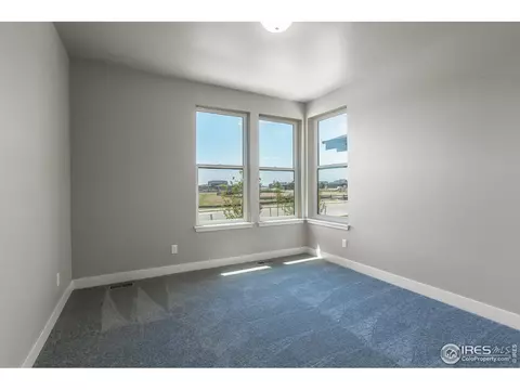 6768 Castello St, Timnath, CO 80547 photo 34