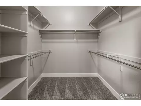 6768 Castello St, Timnath, CO 80547 photo 13