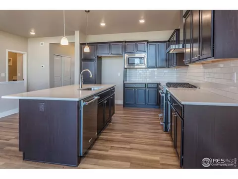 6768 Castello St, Timnath, CO 80547 photo 15
