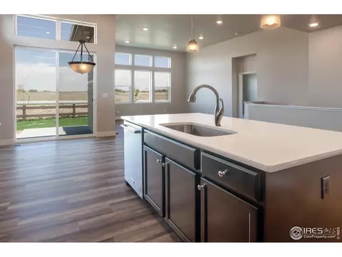 6768 Castello St, Timnath, CO 80547 photo 23