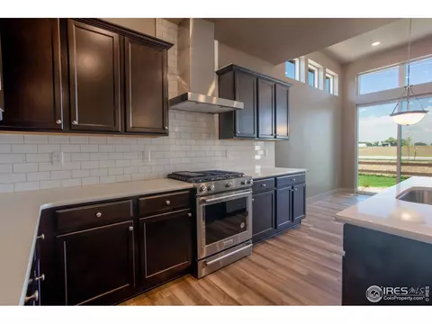6768 Castello St, Timnath, CO 80547 photo 22