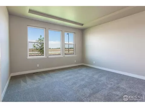 6768 Castello St, Timnath, CO 80547 photo 12