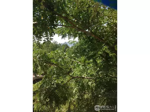5371 Desert Mountain Ct, Boulder, CO 80301 photo 34