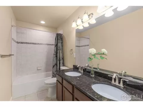 1792 Valley Brook Ln, Severance, CO 80550 photo 23