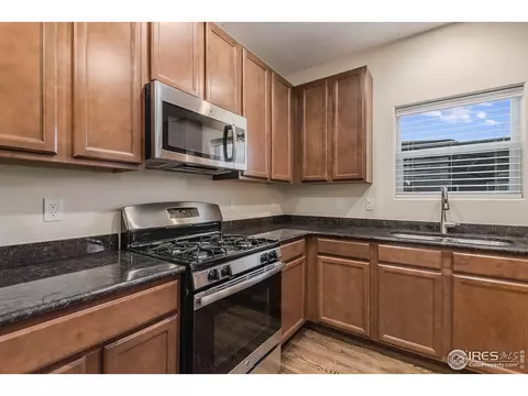 1792 Valley Brook Ln, Severance, CO 80550 photo 14