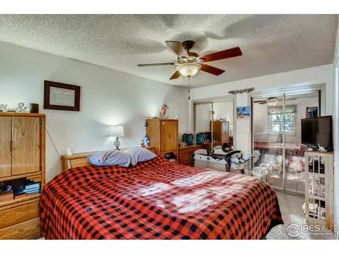 1209 Nantucket St, Windsor, CO 80550 photo 15