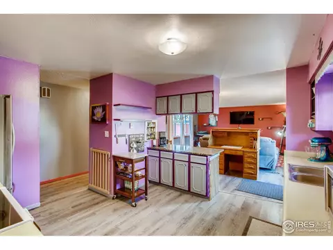 1209 Nantucket St, Windsor, CO 80550 photo 8