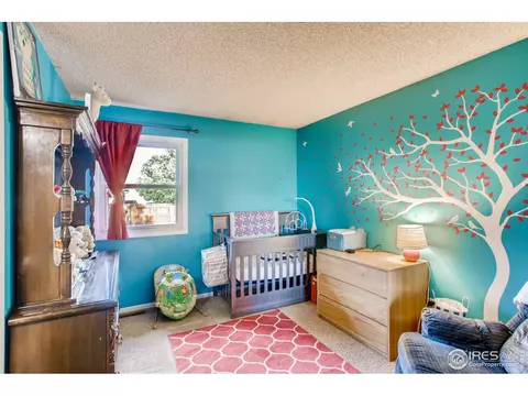 1209 Nantucket St, Windsor, CO 80550 photo 19