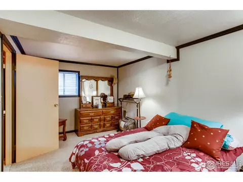 1209 Nantucket St, Windsor, CO 80550 photo 22