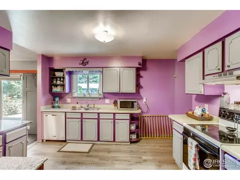 1209 Nantucket St, Windsor, CO 80550 photo 10