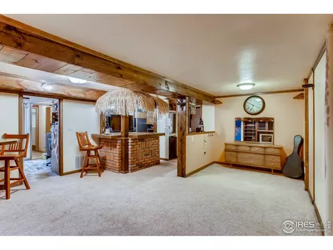 1209 Nantucket St, Windsor, CO 80550 photo 21
