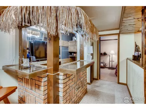 1209 Nantucket St, Windsor, CO 80550 photo 23