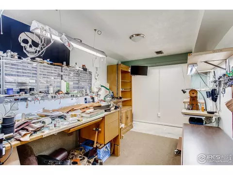 1209 Nantucket St, Windsor, CO 80550 photo 26