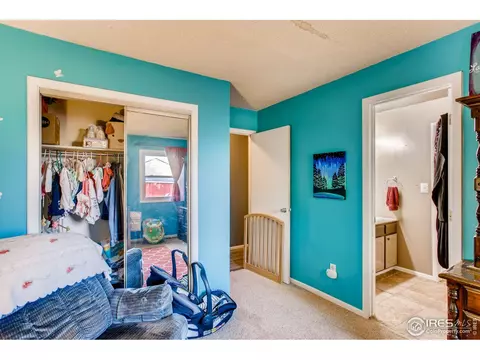 1209 Nantucket St, Windsor, CO 80550 photo 18