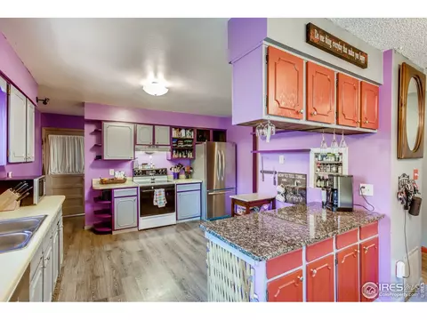 1209 Nantucket St, Windsor, CO 80550 photo 9