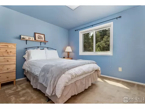 223 Choctaw Rd, Lyons, CO 80540 photo 12