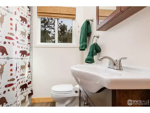 223 Choctaw Rd, Lyons, CO 80540 photo 15