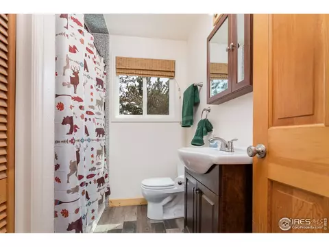 223 Choctaw Rd, Lyons, CO 80540 photo 14