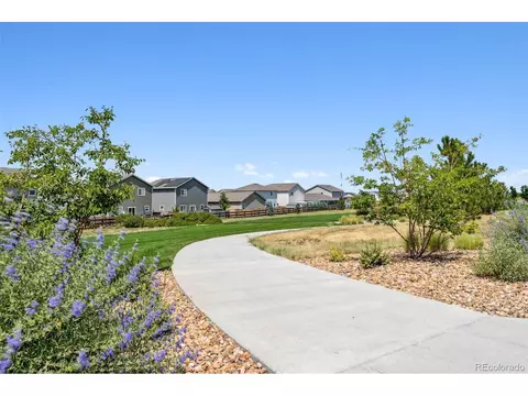 7453 Slate Pl, Frederick, CO 80530 photo 16