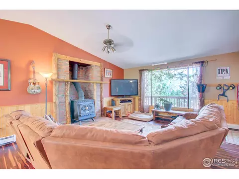 332 Deer Ln, Lyons, CO 80540 photo 7