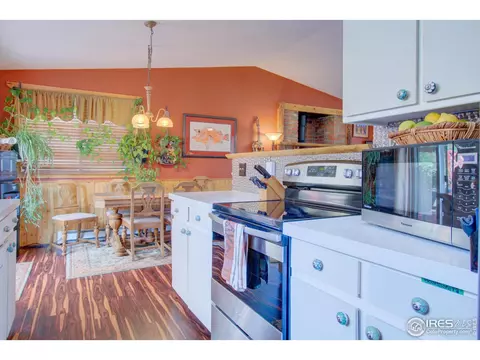 332 Deer Ln, Lyons, CO 80540 photo 13