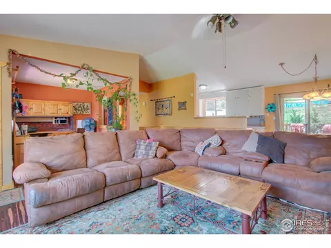 332 Deer Ln, Lyons, CO 80540 photo 6