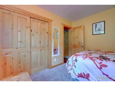 332 Deer Ln, Lyons, CO 80540 photo 16
