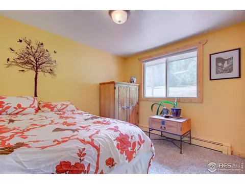 332 Deer Ln, Lyons, CO 80540 photo 15