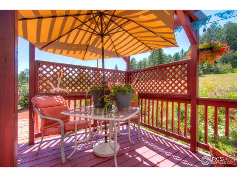 332 Deer Ln, Lyons, CO 80540 photo 29