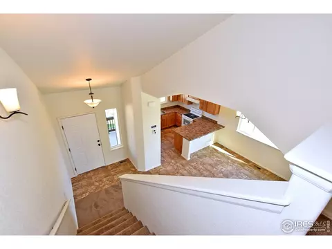 937 Scotch Pine Dr, Severance, CO 80550 photo 26