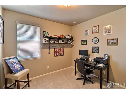 2284 Stonefish Dr, Windsor, CO 80550 photo 31