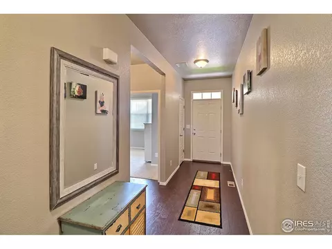 2284 Stonefish Dr, Windsor, CO 80550 photo 3