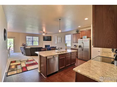 2284 Stonefish Dr, Windsor, CO 80550 photo 12