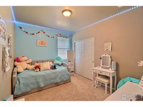 2284 Stonefish Dr, Windsor, CO 80550 photo 33
