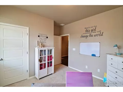 2284 Stonefish Dr, Windsor, CO 80550 photo 28