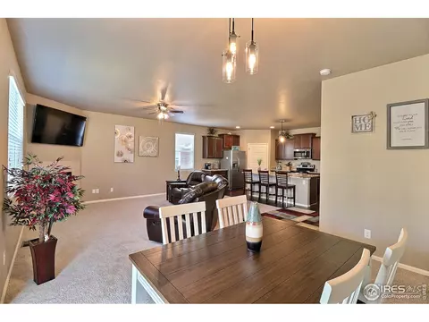 2284 Stonefish Dr, Windsor, CO 80550 photo 6