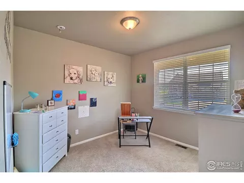 2284 Stonefish Dr, Windsor, CO 80550 photo 27