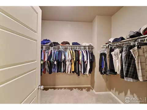 2284 Stonefish Dr, Windsor, CO 80550 photo 26