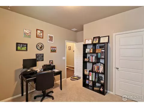2284 Stonefish Dr, Windsor, CO 80550 photo 30
