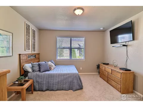 2284 Stonefish Dr, Windsor, CO 80550 photo 23
